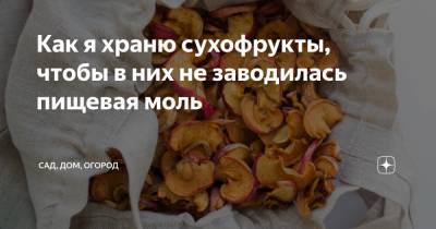 Как я храню сухофрукты, чтобы в них не заводилась пищевая моль - zen.yandex.ru