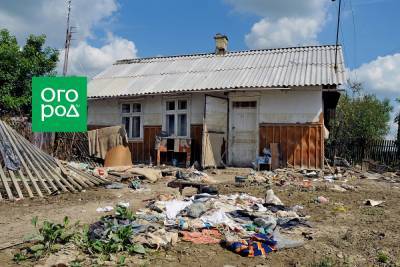 Правовые вопросы: сосед превратил свой участок в свалку – что делать? - ogorod.ru - Россия