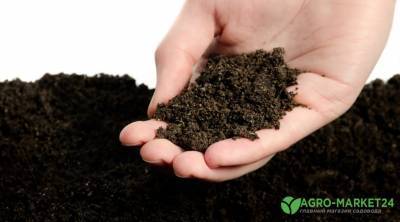 Почва для рассады: как улучшить купленный грунт - agro-market24.ru