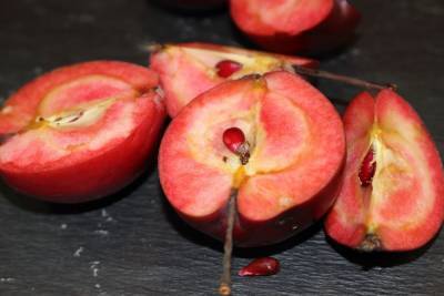 Яблоки с красной мякотью – что это за сорта и чем они лучше обычных - ogorod.ru
