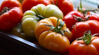Лучшие сорта томатов: самые сладкие, крупные и мясистые помидоры для еды в свежем виде - supersadovnik.ru
