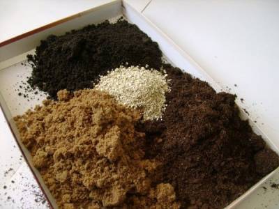 Как правильно приготовить почвогрунт для выращивания рассады своими руками: лучшие рецепты почвосмесей - countryhouse.pro