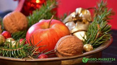 Традиции на Рождество Христово - agro-market24.ru