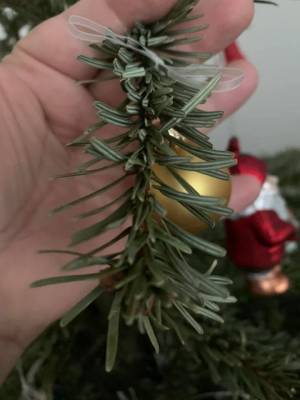 Большая часть рождественских и новогодних елочек в Европе это не совсем елочки… - sotki.ru - Россия - Дания - Грузия