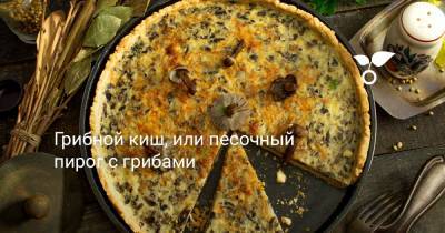 Грибной киш, или песочный пирог с грибами - botanichka.ru