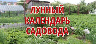 Лунно-посевной календарь на июль 2021 года садовода и огородника по луне в таблице - sveklon.ru