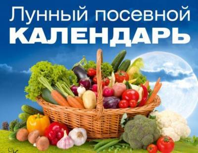 Лунный посевной календарь на февраль 2021 года садовода и огородника - sveklon.ru