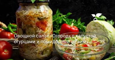 Овощной салат «Огород» с капустой, огурцами и помидорами на зиму - botanichka.ru