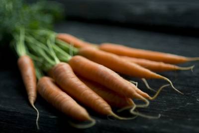 Надо ли обрезать ботву у моркови перед уборкой: зачем это делают - belnovosti.by