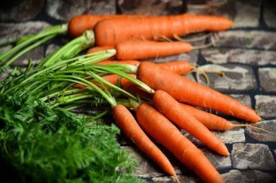 Боится ли морковь заморозков: температура, при которой нужно срочно убирать урожай - belnovosti.by