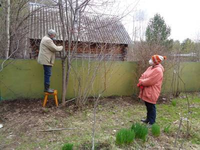 Лунный календарь садовода: проводим осеннюю обрезку деревьев - oblgazeta.ru