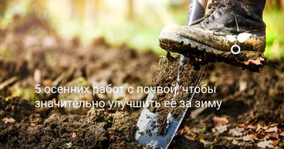 5 осенних работ с почвой, чтобы значительно улучшить её под зиму - botanichka.ru