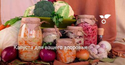 Капуста для вашего здоровья - botanichka.ru