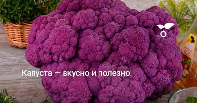 Капуста — вкусно и полезно! - botanichka.ru