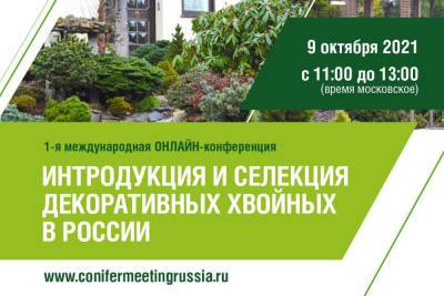 Онлайн-конференции о декоративных хвойных в России - botanichka.ru - Россия