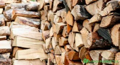 Как хранить дрова на даче - agro-market24.ru