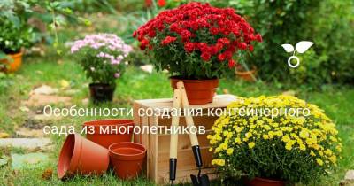 Особенности создания контейнерного сада из многолетников - botanichka.ru