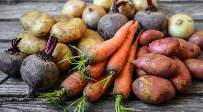 Как сохранить картофель, морковь и свеклу до весны: 5 вариантов хранения урожая - supersadovnik.ru