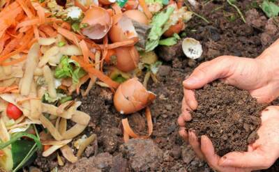 Какие ингредиенты портят компост и делают его вредным для огорода: этого не расскажет сосед - belnovosti.by
