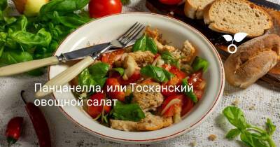 Панцанелла, или Тосканский овощной салат - botanichka.ru