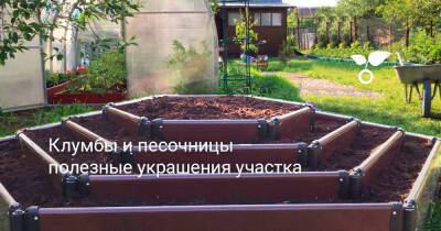 Клумбы и песочницы — полезные украшения участка - botanichka.ru