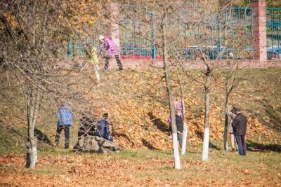 Как защитить плодовое дерево поздней осенью: что добавляют в побелку опытные дачники - belnovosti.by