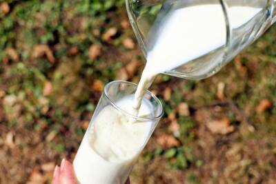 Способы использования молока на огороде: об этом не знают многие дачники - belnovosti.by