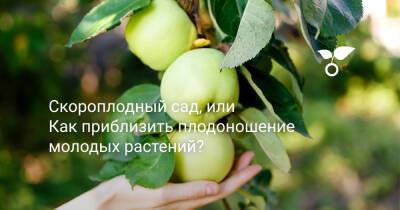 Скороплодный сад, или Как приблизить плодоношение молодых растений? - botanichka.ru