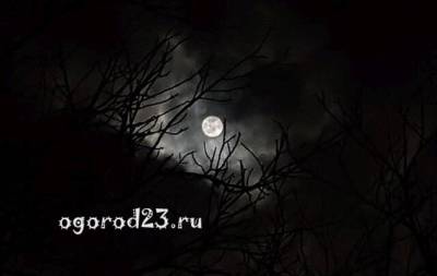Луна в ноябре 2021 года, рекомендации садоводам и огородникам, календарь - ogorod23.ru