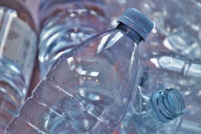 Как правильно использовать пластиковую бутылку на даче: поливать грядки можно будет реже - belnovosti.by