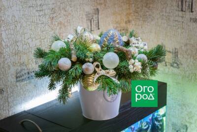 Идеи новогодних кашпо: преобразите ваш дом к празднику - ogorod.ru