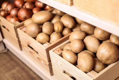 Как правильно хранить картофель в доме или квартире - ogorod.ru