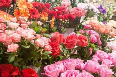 Зацветет даже кактус: чем подкормить комнатные цветы для роста и пышного цветения - belnovosti.by