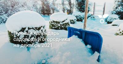 Лунный календарь садовода и огородника на декабрь 2021 - botanichka.ru