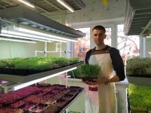 Как выращивать микрозелень и можно ли сделать из сити-фермерства бизнес [+ВИДЕО] - agrobook.ru - Ростовская обл.
