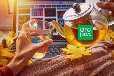 10 ароматных чаев от осенней депрессии - ogorod.ru