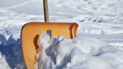 Как быстро убрать снег на даче: что нужно нанести на лопату - belnovosti.by