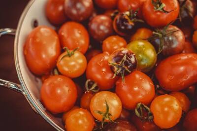 На грядках трескаются помидоры: какую досадную оплошность мог допустить огородник - belnovosti.by