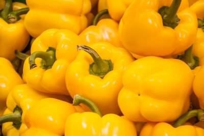 Как получить хороший урожай перца: 5 ошибок, которых следует избегать - belnovosti.by