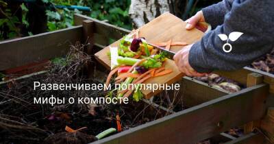 Развенчиваем популярные мифы о компосте - botanichka.ru
