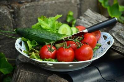Как заметно повысить урожай томатов и огурцов: простая и эффективная подкормка - belnovosti.by