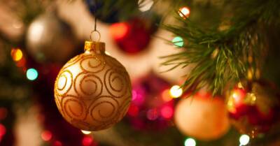 12 секретов, которые нужно знать при покупке новогодней елки - rus.delfi.lv