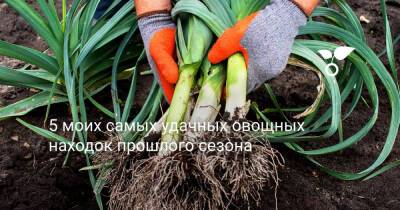 5 моих самых удачных овощных находок прошлого сезона - botanichka.ru