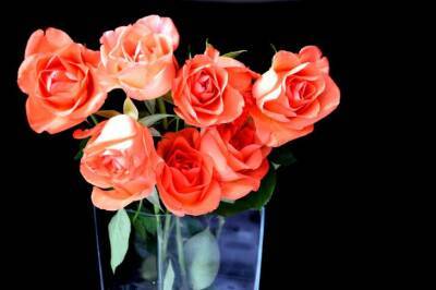 3 неприхотливых комнатных цветка, которые цветут даже у тех, кто загубил пластиковый кактус - belnovosti.by