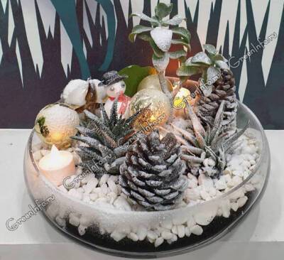 Новогодние мини-садики из комнатных растений - greeninfo.ru