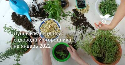 Лунный календарь садовода и огородника на январь 2022 - botanichka.ru