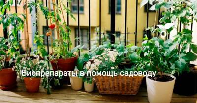 Биопрепараты в помощь садоводу - botanichka.ru