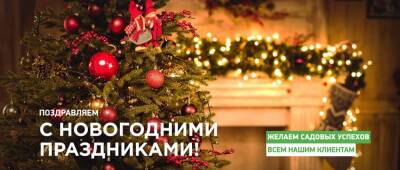 Поздравление с Новым годом - agro-market24.ru
