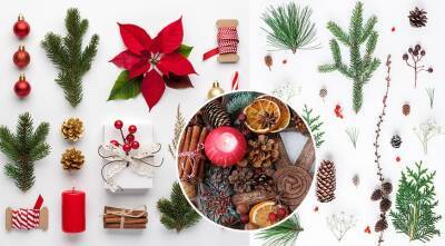 Традиционные элементы для новогодней и рождественской композиции - supersadovnik.ru