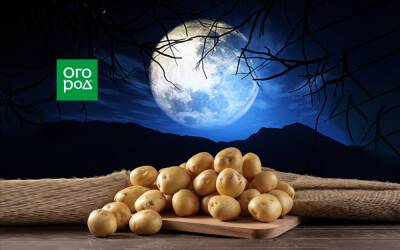 Выращивание картофеля по Лунному календарю в 2022 году - ogorod.ru
